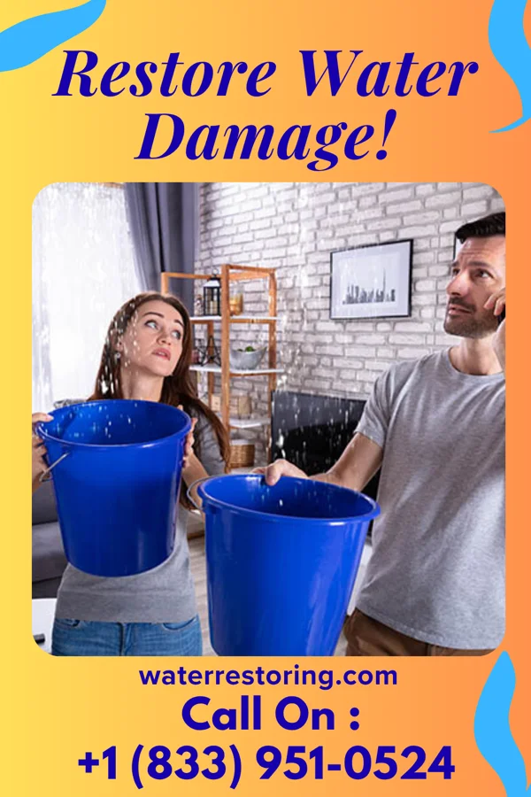 water restoration Total Sewage Cleanup Services Keefton